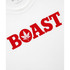 BOAST Men's (Unisex) Tee with Logo