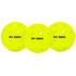 Six Zero Pro Pickleball 3 Pack