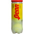 Penn Court 1 Regular Duty Tennis Balls | 1 Can | 3 Balls