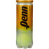 Penn Tour Extra Duty Tennis Balls | 1 Can | 3 Balls