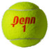 Penn Championship Tennis Balls Case - Regular Duty Felt Pressurized Tennis Balls | 24 Cans | 72 Balls