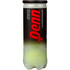Penn Championship High Altitude Extra Duty Tennis Balls | 1 Can | 3 Balls