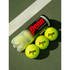 Penn Championship High Altitude Extra Duty Tennis Balls | 1 Can | 3 Balls