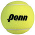 PENN STAGE 3 RED Tennis Balls