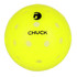 Gamma Chuck Outdoor Pickleballs