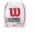 Wilson NXT Power Tennis String Set