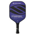 Selkirk Amped Control Epic Pickleball Paddle