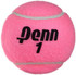 Penn Pink Championship Extra Duty Tennis Ball Can (1 Can, 3 Balls)