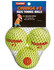 Tourna Orange Dot Low Compression Transition Tennis Balls