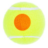 Gamma Orange Dot 60 Tennis Balls