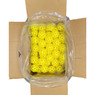 HEAD Championship 40 Outdoor Pickleball Balls