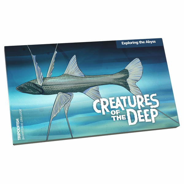 2023 Creatures of the Deep - $1 Four Coin Set