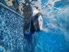 Maytronics Dolphin S300I Robotic In-Ground Pool Cleaner