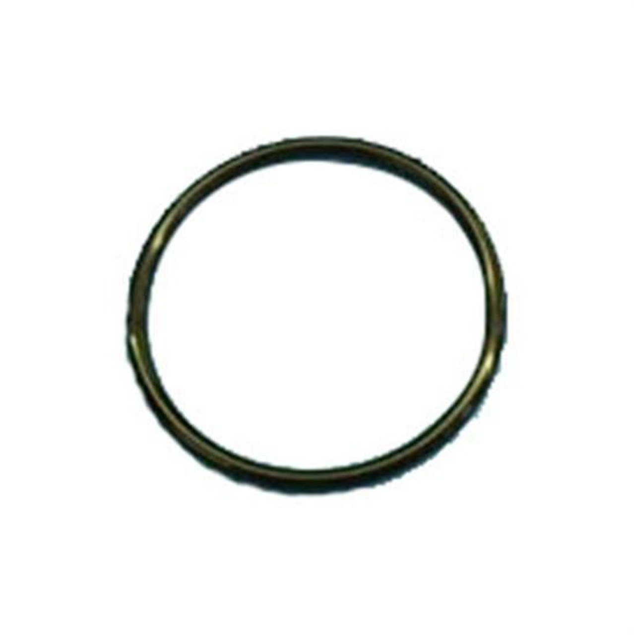Hayward Union O Ring