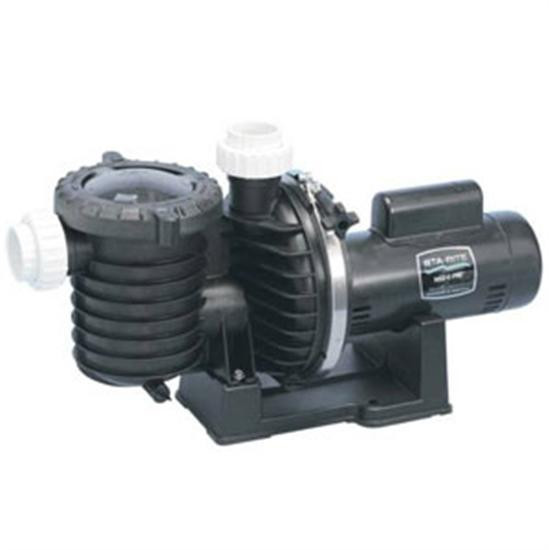 StaRite Max E Pro 3/4 HP Energy Efficient Full Rated Pool Pump P6E6D