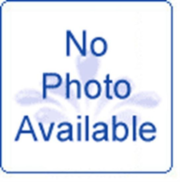 Polaris 280-380 Inline Filter Screen - 48222 Polaris 280-380 Inline Filter Screen - 48222