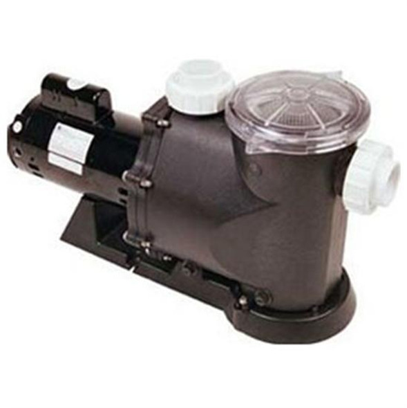 Advantage Quiet Flo Plus In-Ground Pool Pump 1 HP