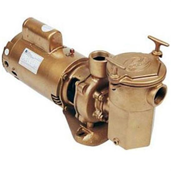 Advantage Commercial Bronze In-Ground Pool Pump 2 HP