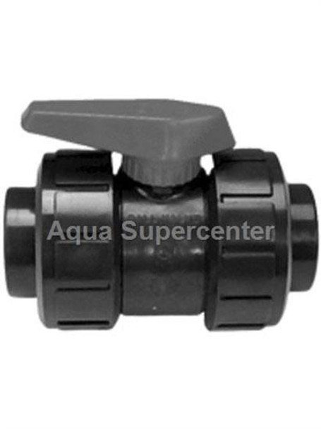 Astral Products 2" SKT True Union Ball Valve - Gray