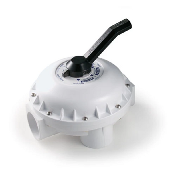 Pentair Side Mount Multiport Valve for Pentair FNS DE Filter - 261049