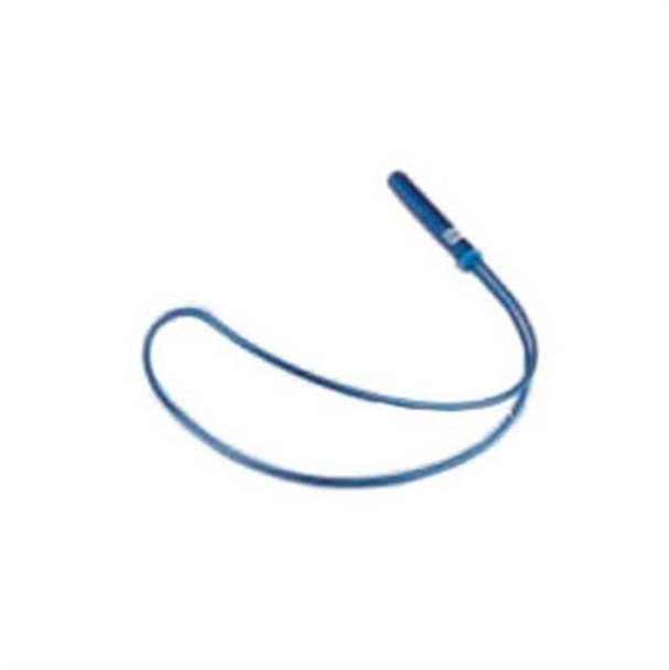 Rainbow Shepherd's Crook Rainbow Shepherd's Crook