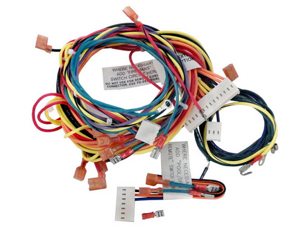 Raypak Wire Harness IID - 009490F