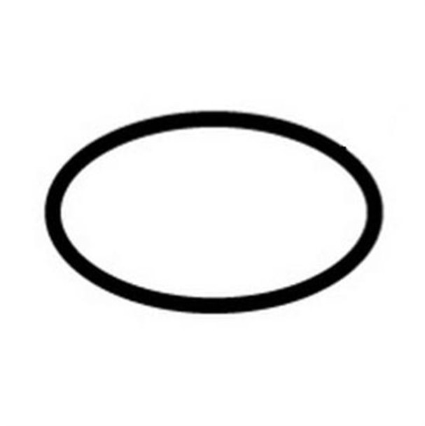 Sta-Rite P24150 Purex Cover O-Ring