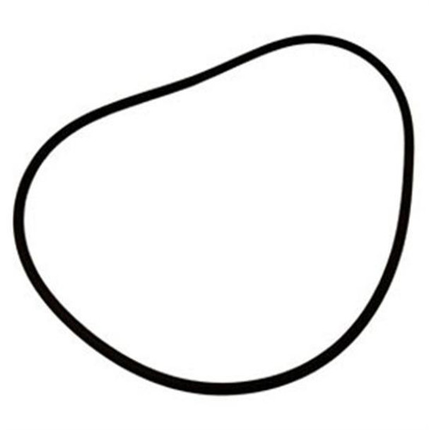 Pentair 355329 Pacfab O-Ring