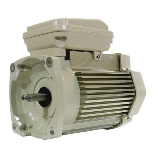 Pentair WhisperFlo 3 HP Pool Pump Motor - 354817S