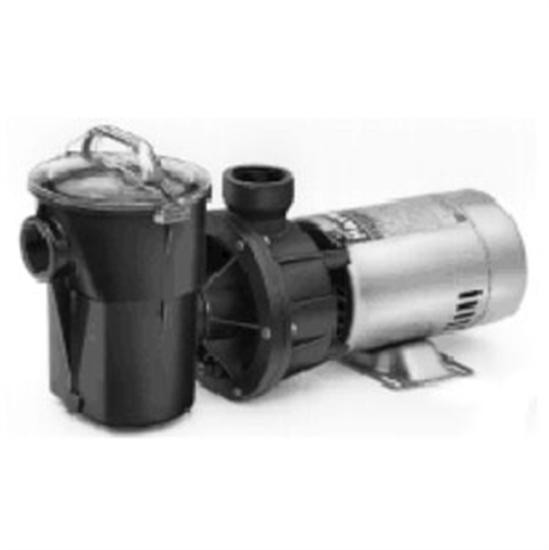 Hayward PowerFlo II 1 HP Single Speed Pool Pump W3SP1780