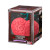 One Piece Card Game Devil Fruits Collection Vol. 3 [DF03] — collection box packaging