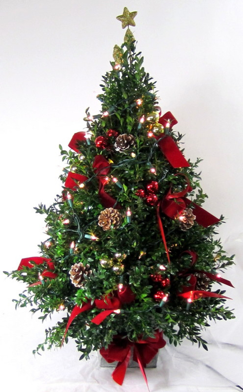 Chappell S Flower Shops Exclusive Tabletop Christmas Holiday Tree