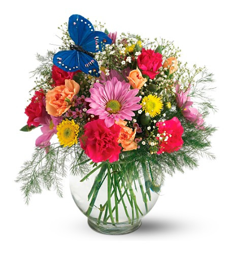 Chappell's Butterfly Blossoms Vase - Chappell's Florist