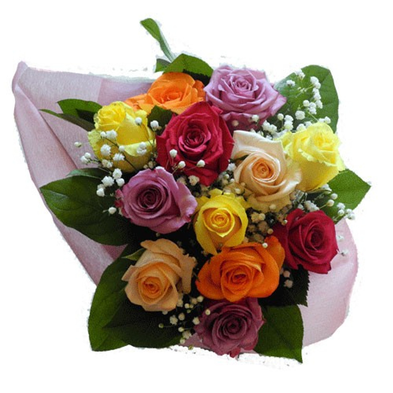 Dozen Mixed Color Roses, Wrapped