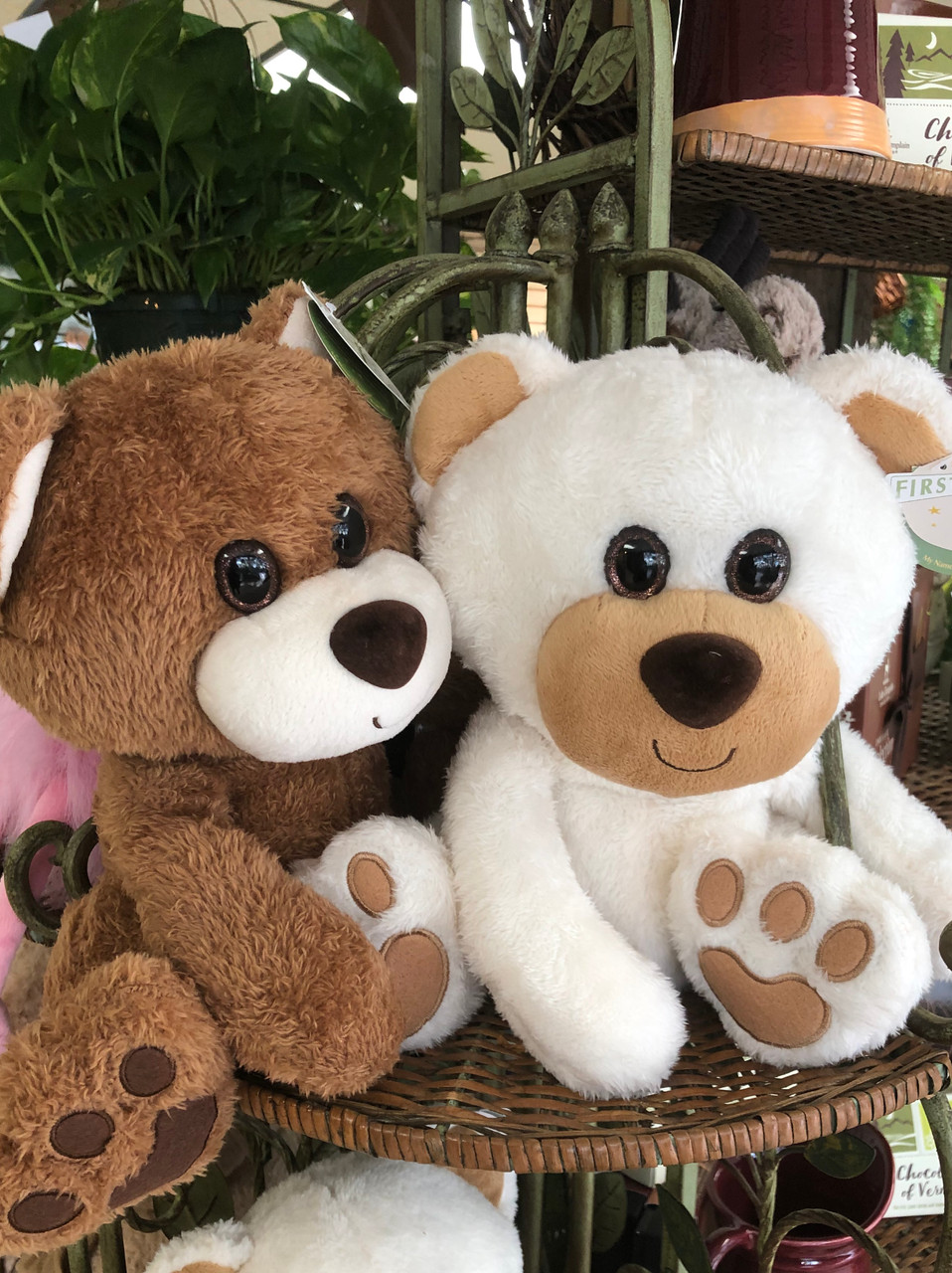 Cute teddy sale bears to buy