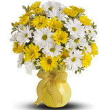 Discover the Best Florist in Burlington, VT for Stunning Arrangements