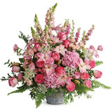 Meaningful Sympathy and Funeral Flowers in Burlington, VT: What to Send and When