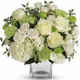 Finding the Best Florists in Burlington, VT with Reliable Flower Delivery