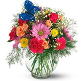 Best Heat-Resistant Flowers in VT for July Weather