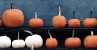 5 Ideas for Pumpkin Decorations