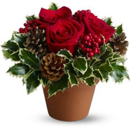 When Same-Day Flower Delivery (Burlington, VT) Makes Sense