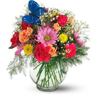 Best Heat-Resistant Flowers in VT for July Weather