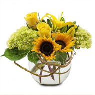 Floral Favorites for Every Season in Burlington, VT