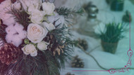 The Best Seasonal Flowers in Burlington and How to Use Them