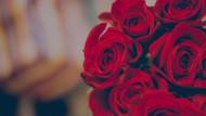 Romantic Roses: Elevating Your Wedding Decor With Timeless Flower Classics