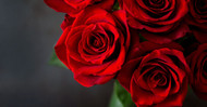 The Art of Preserving Flowers: Keeping Your Bouquets Beautiful for Longer