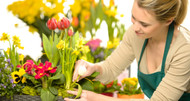 Why Seasonal Flowers Save You Money