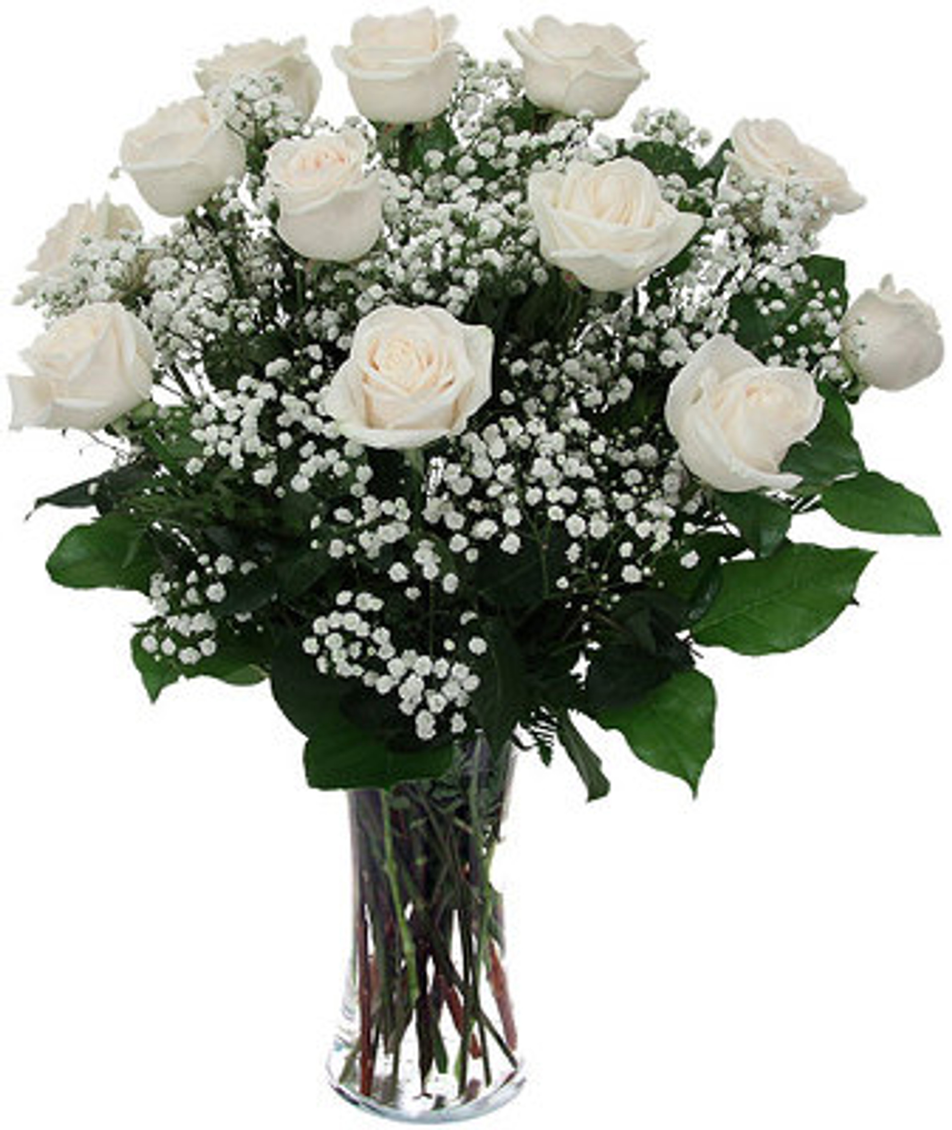 Dozen White Roses ArrangedSend your love on Valentine's Day!