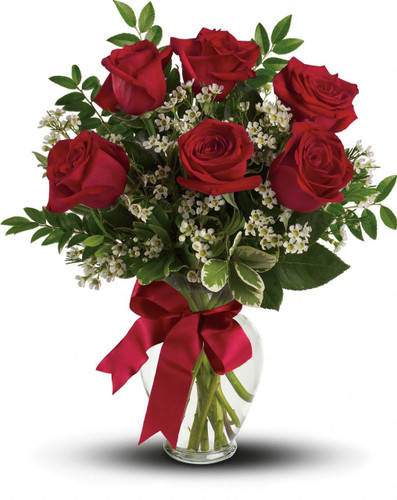 Thoughts of You with  6 Red Roses  ***Special****