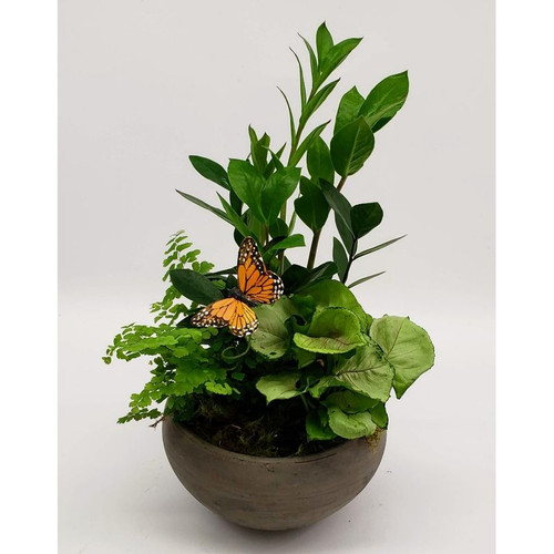 Chappell's Butterfly Blossoms Vase - Chappell's Florist